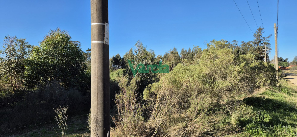 Chacra ID.22328 - Chacra 3 has.Fortín Santa Rosa