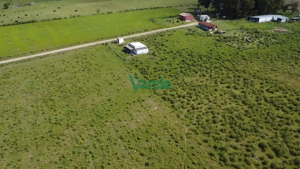 Chacra ID.22820 - Venta Chacra 10 has Sauce 2 Casas Queseria 2 Galpones