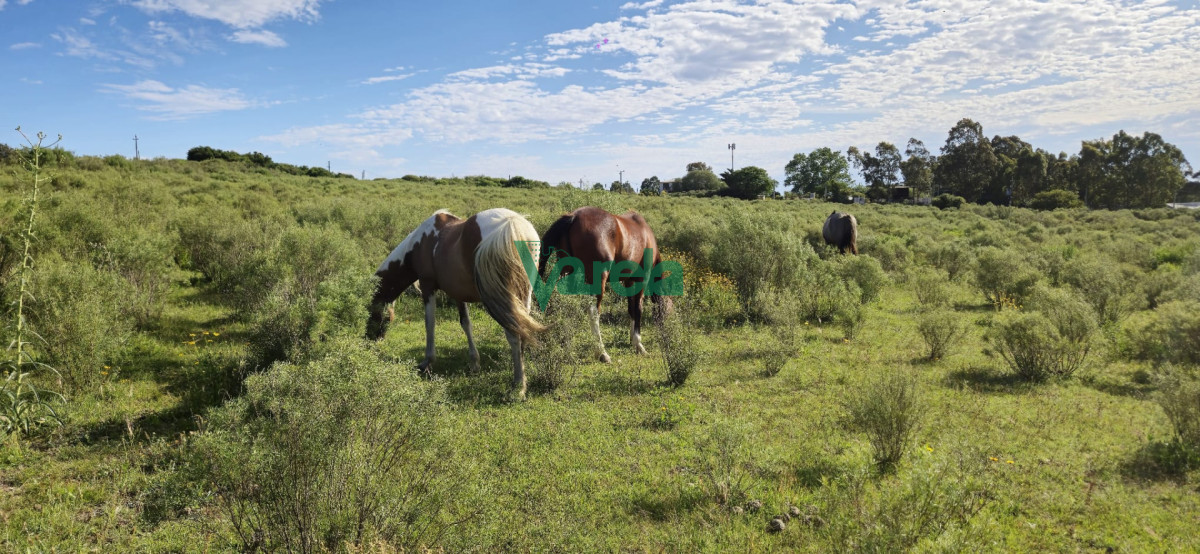 Chacra ID.22872 - Chacra Marítima de 5 has.en Playa Hermosa, a 9 cuadras de la playa