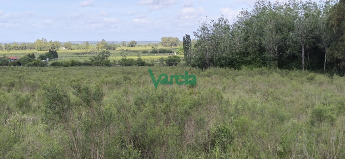 Chacra ID.23036 - Venta chacra 13 hectareas entre Estación Pedrera y Estación Tapia
