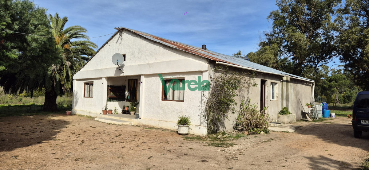 Chacra ID.22771 - Venta de Chacra de 6 hectareas en Santa Lucia del Este