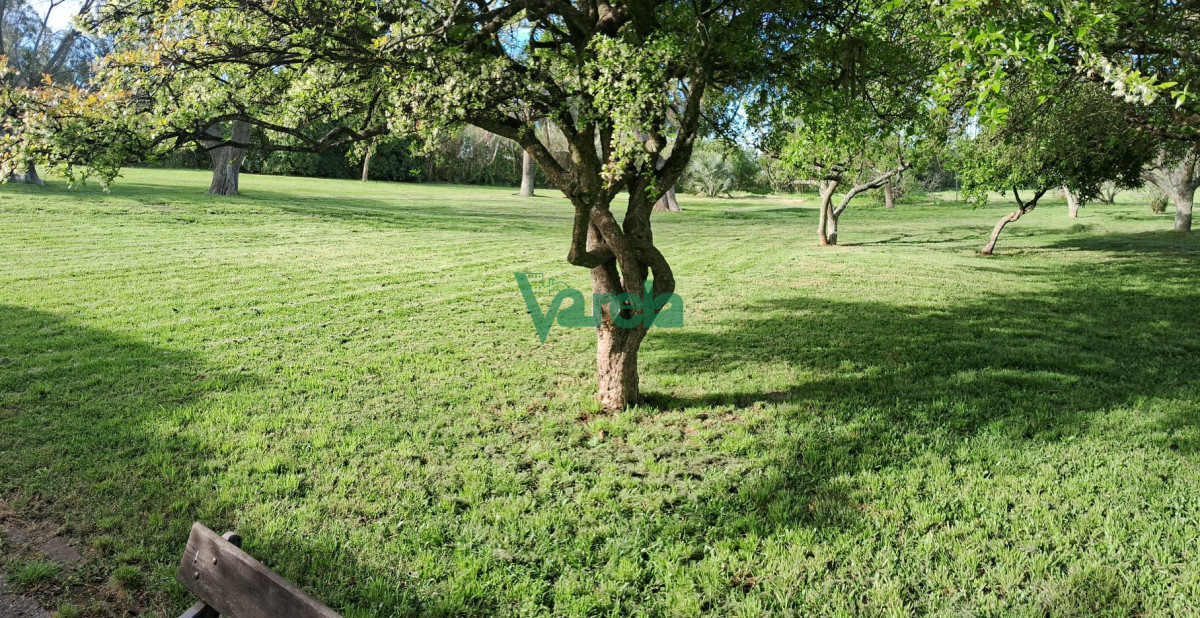 Chacra ID.22798 - Venta de Chacra 3 Hás en Suarez