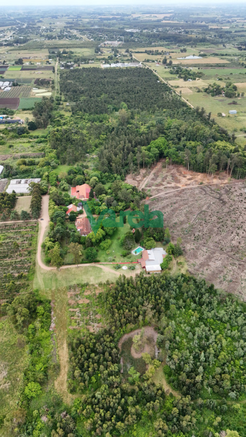 Chacra ID.22857 - Venta chacra baldia 3 hectares Ruta 6 Toledo 100% financiada