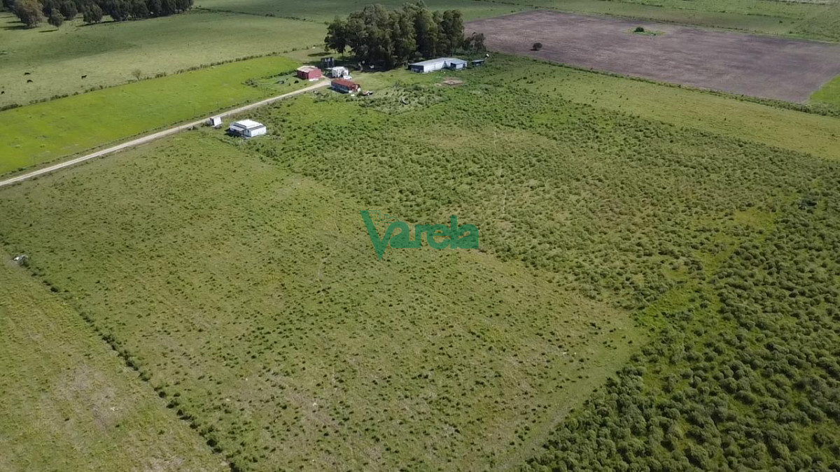 Chacra ID.22820 - Venta Chacra 10 has Sauce 2 Casas Queseria 2 Galpones