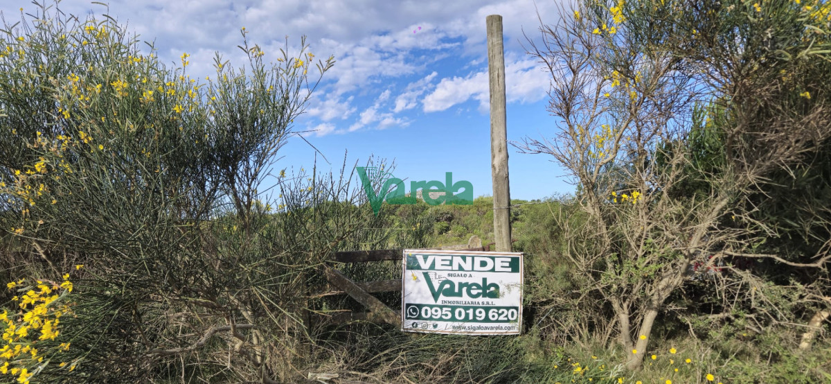 Chacra ID.22872 - Chacra Marítima de 5 has.en Playa Hermosa, a 9 cuadras de la playa