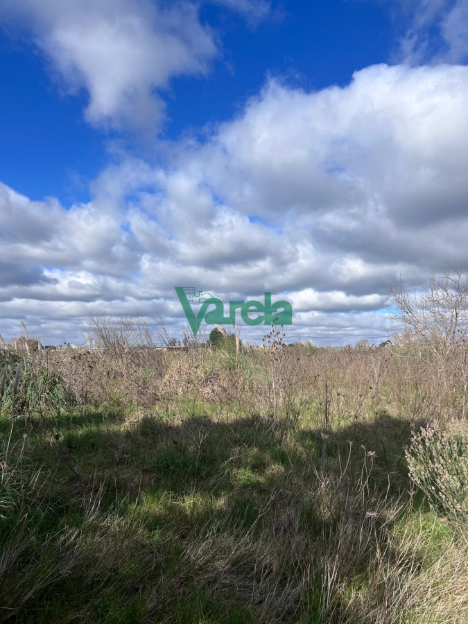 Chacra ID.22265 - venta chacra con galpon baño y ambiente toledo