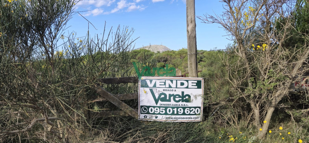 Chacra ID.22872 - Chacra Marítima de 5 has.en Playa Hermosa, a 9 cuadras de la playa