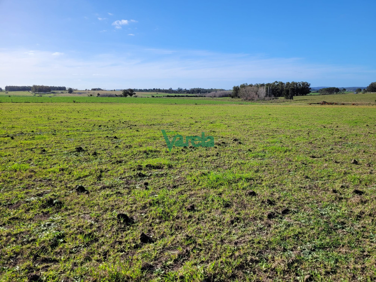 Chacra ID.22478 - Venta de chacra en Atlantida