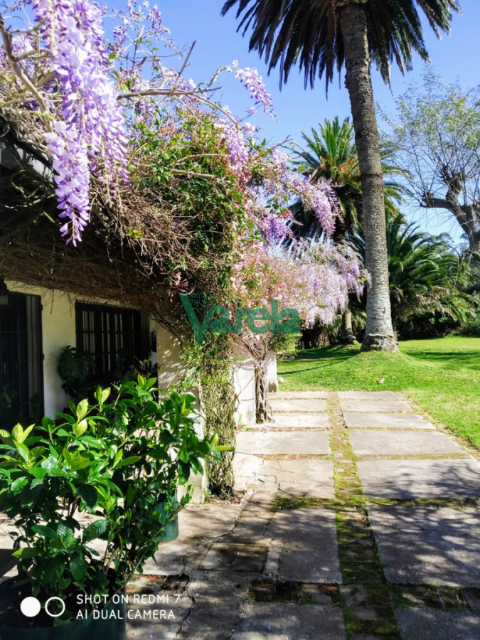 Chacra ID.22798 - Venta de Chacra 3 Hás en Suarez