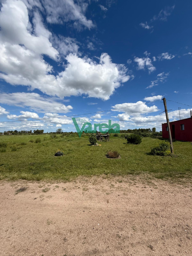 Chacra ID.22820 - Venta Chacra 10 has Sauce 2 Casas Queseria 2 Galpones