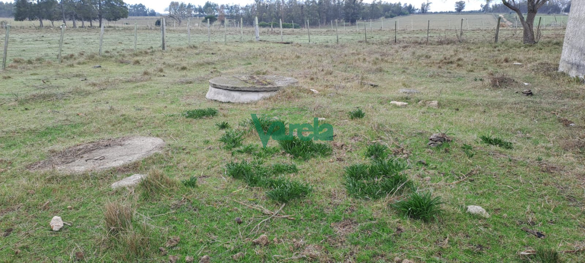 Chacra ID.21842 - Venta de Chacra, Ruta 11, km.152, de 3,5 has. a 200 metros de Ruta 