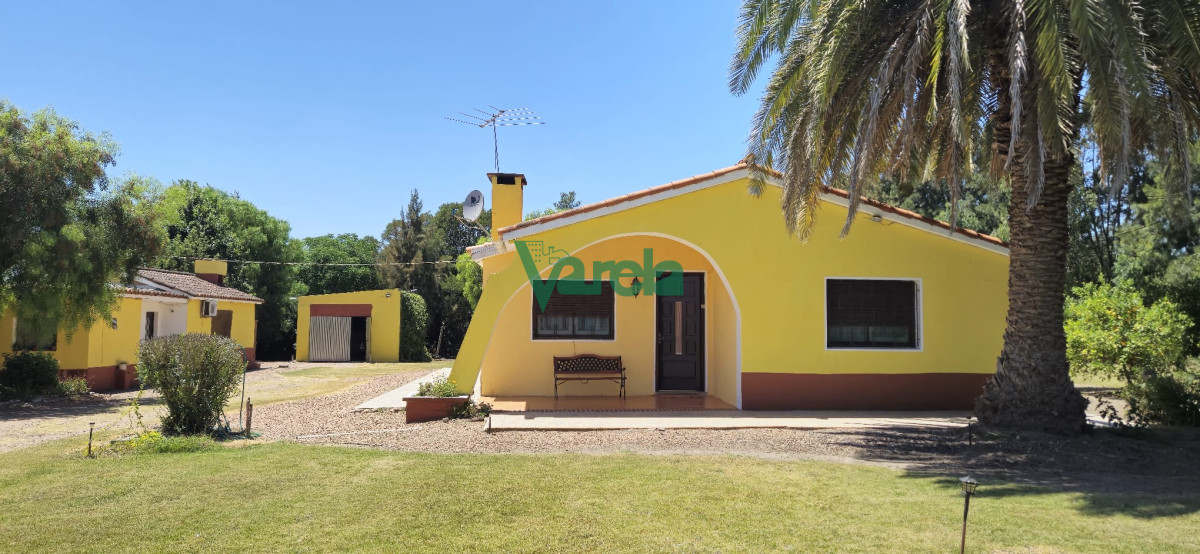 Chacra ID.22516 - Casa con gran terreno de 9026 m2 sobre Ruta 11 