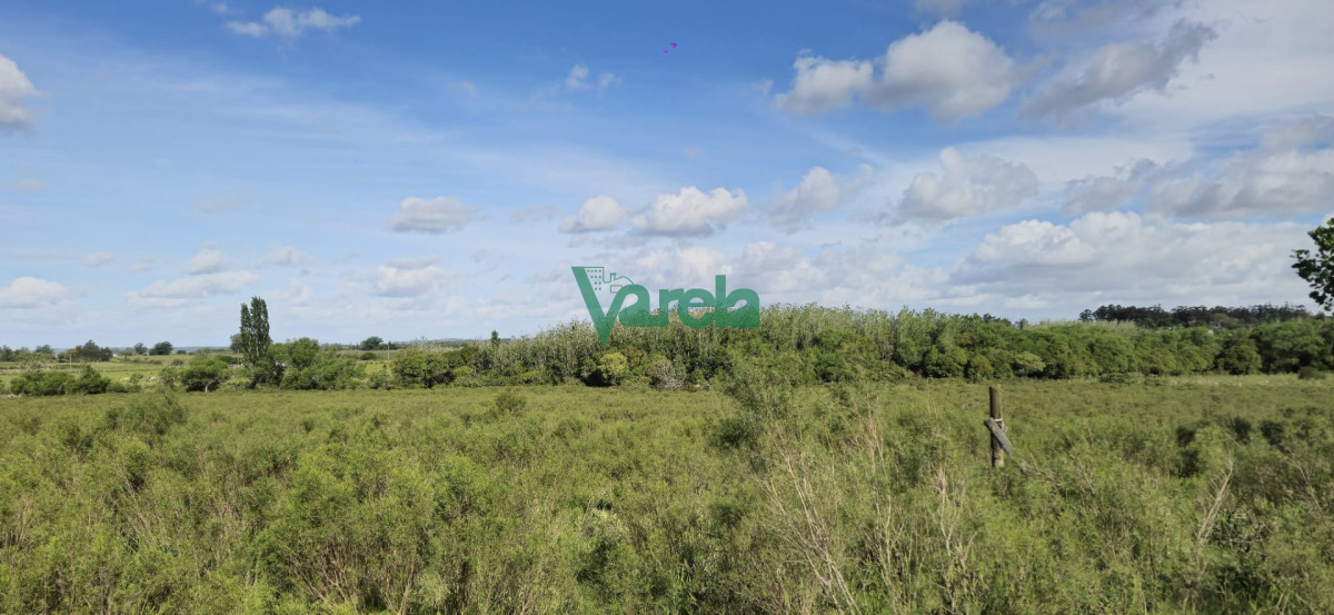Chacra ID.23036 - Venta chacra 13 hectareas entre Estación Pedrera y Estación Tapia