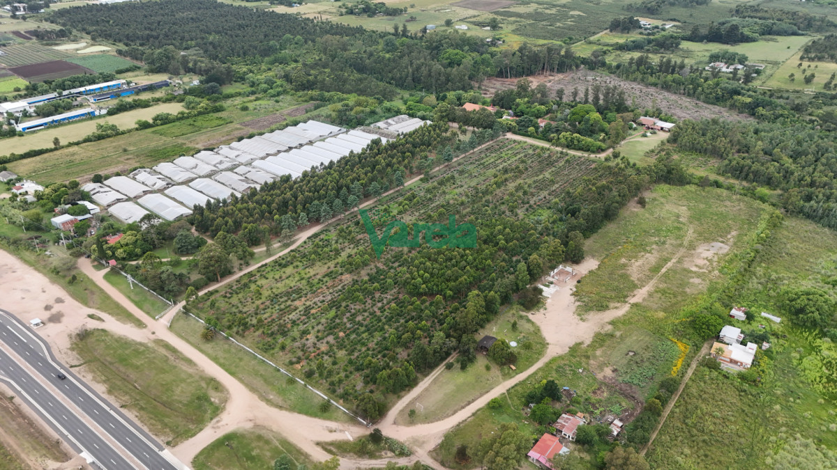 Chacra ID.22867 - Venta chacra 100% financiada en Toledo 4 hectáreas