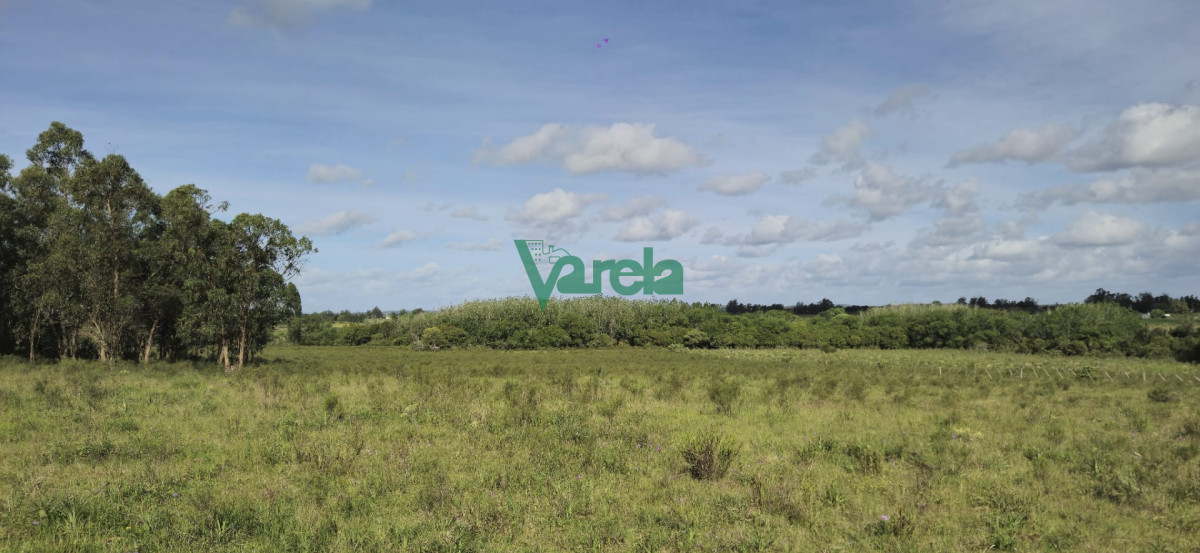 Chacra ID.23036 - Venta chacra 13 hectareas entre Estación Pedrera y Estación Tapia