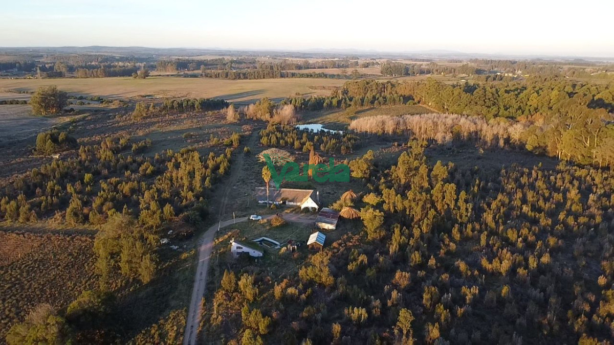 Chacra ID.22673 - Venta Chacra 10 has km 45 ruta 8 Empalme Olmos Canelones