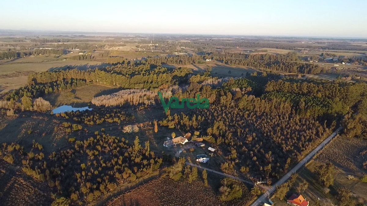 Chacra ID.22673 - Venta Chacra 10 has km 45 ruta 8 Empalme Olmos Canelones