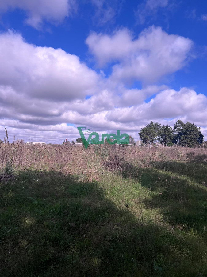 Chacra ID.22265 - venta chacra con galpon baño y ambiente toledo