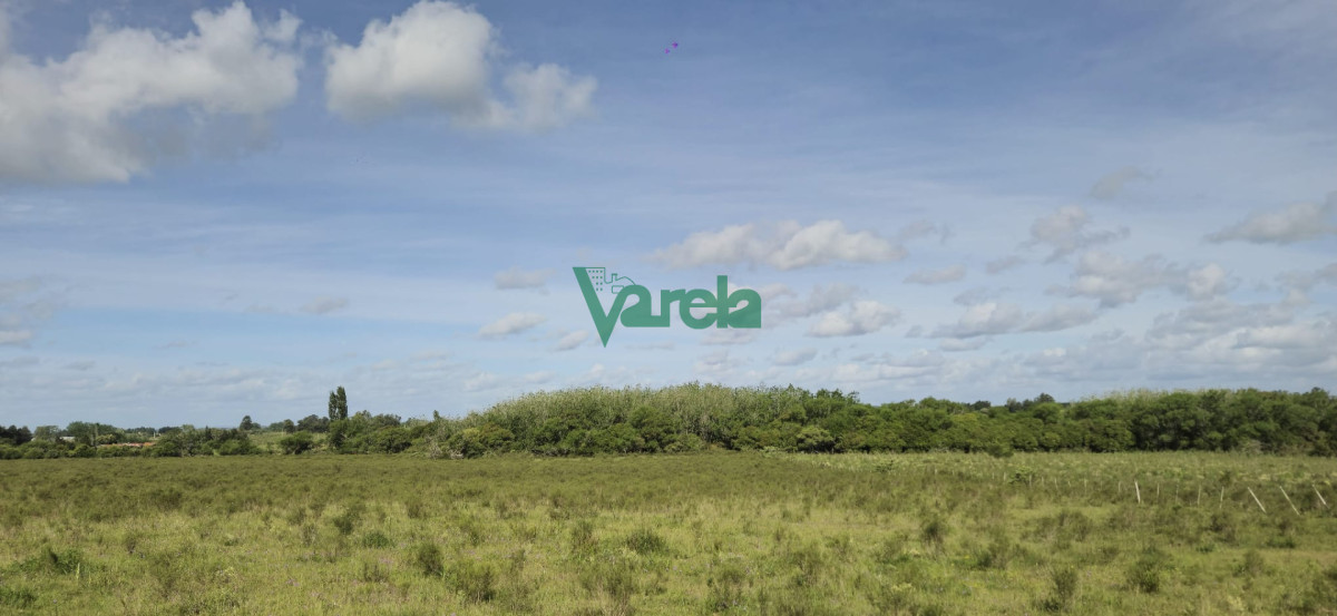 Chacra ID.23036 - Venta chacra 13 hectareas entre Estación Pedrera y Estación Tapia
