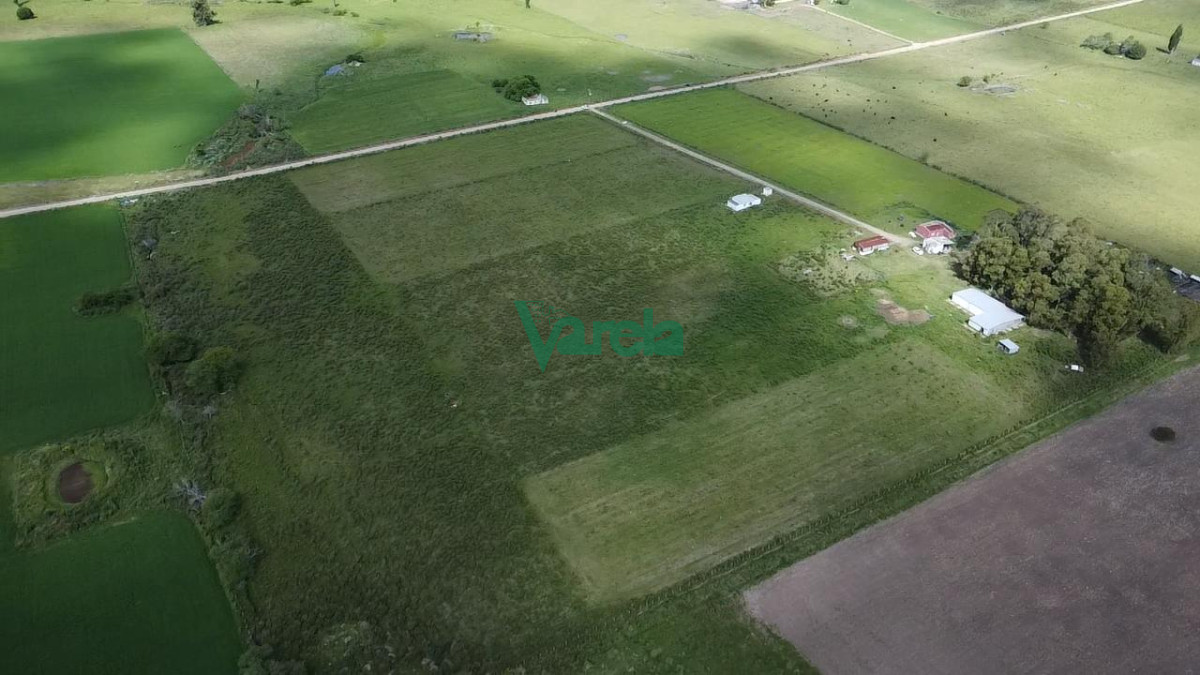 Chacra ID.22820 - Venta Chacra 10 has Sauce 2 Casas Queseria 2 Galpones