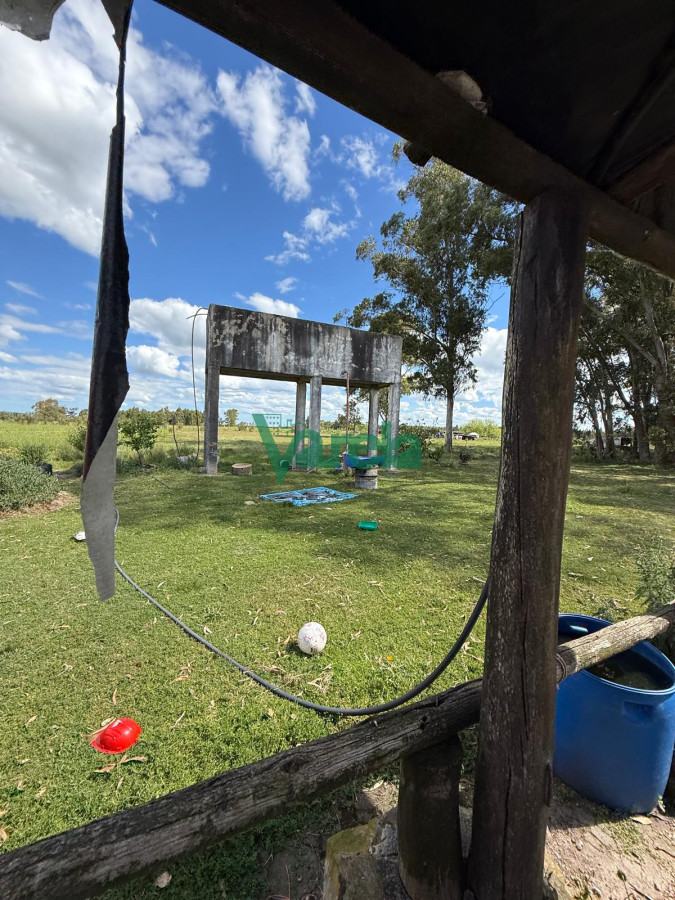 Chacra ID.22820 - Venta Chacra 10 has Sauce 2 Casas Queseria 2 Galpones