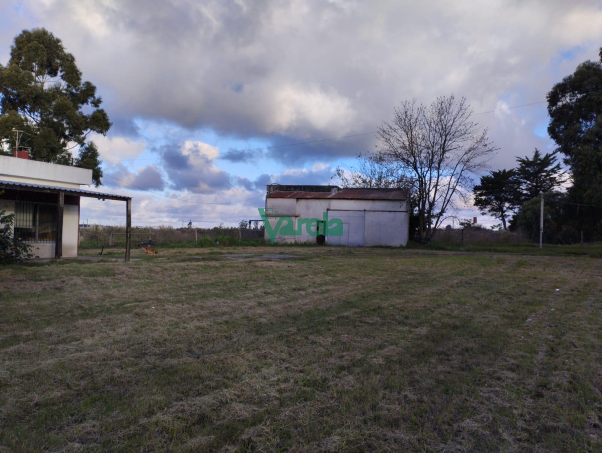 Chacra ID.22265 - venta chacra con galpon baño y ambiente toledo