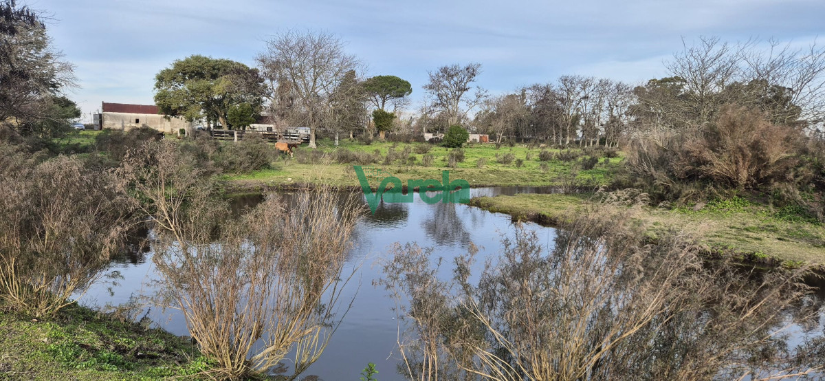 Chacra ID.22729 - Chacra 7,5 has.próxima a Estación Migues