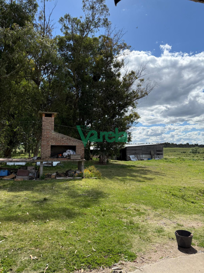 Chacra ID.22820 - Venta Chacra 10 has Sauce 2 Casas Queseria 2 Galpones