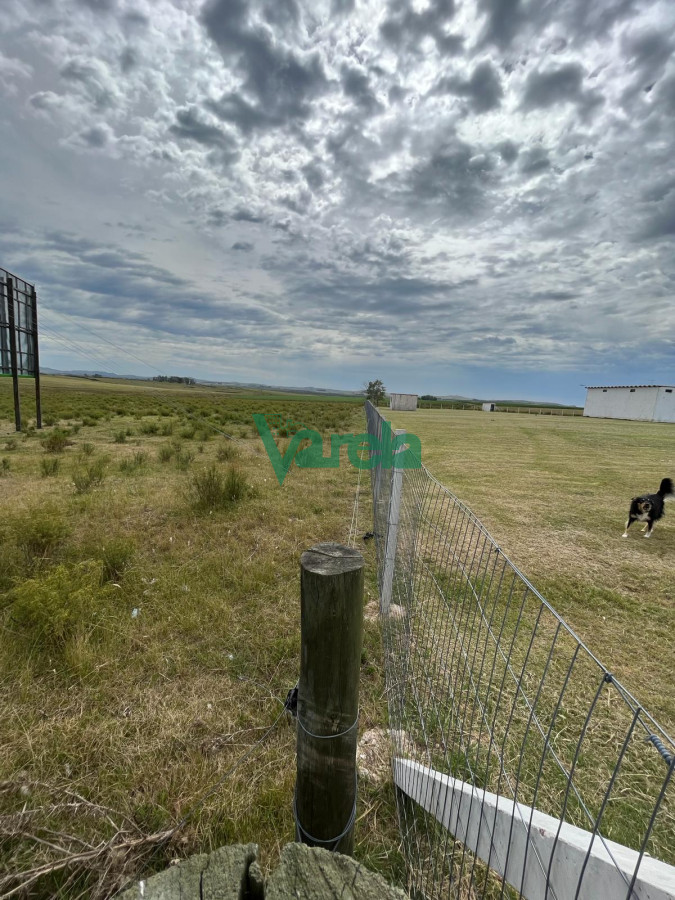 Chacra ID.22113 - VENTA DE CHACRA EN MALDONADO