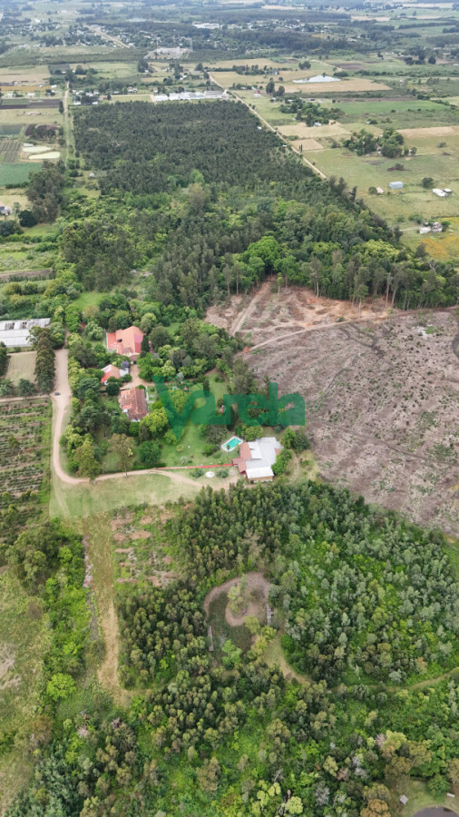 Chacra ID.22857 - Venta chacra baldia 3 hectares Ruta 6 Toledo 100% financiada