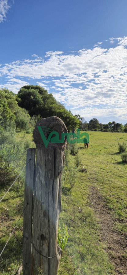 Chacra ID.22872 - Chacra Marítima de 5 has.en Playa Hermosa, a 9 cuadras de la playa