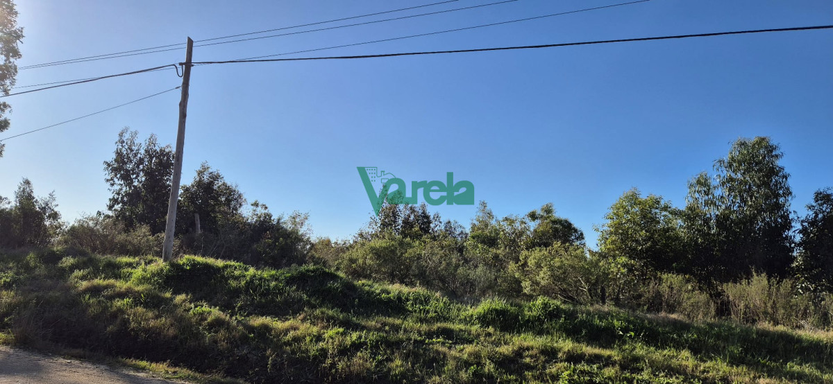 Chacra ID.22328 - Chacra 3 has.Fortín Santa Rosa