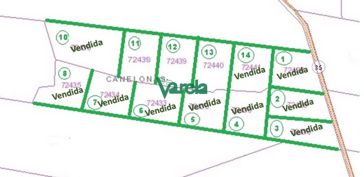 Chacra ID.21688 - CHACRAS ALTOS DE LA FLORESTA,  PROXIMAS AL BALNEARIO LA FLORESTA 
