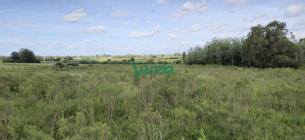 Chacra ID.23036 - Venta chacra 13 hectareas entre Estación Pedrera y Estación Tapia