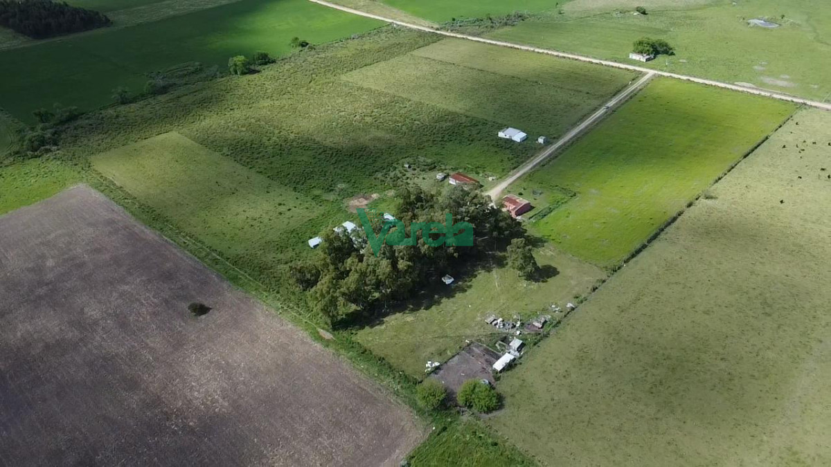 Chacra ID.22820 - Venta Chacra 10 has Sauce 2 Casas Queseria 2 Galpones