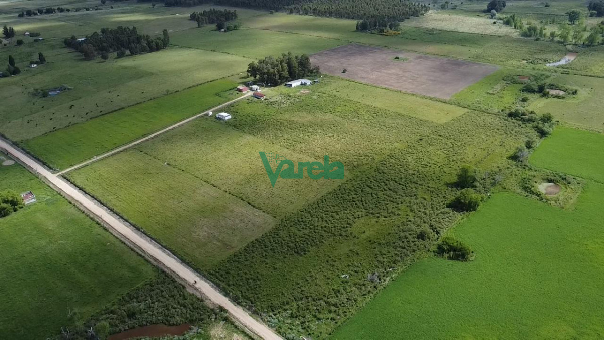 Chacra ID.22820 - Venta Chacra 10 has Sauce 2 Casas Queseria 2 Galpones