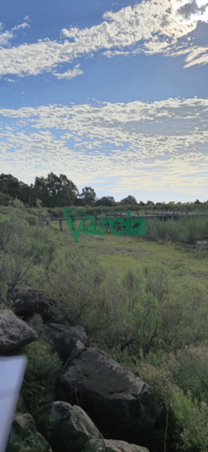 Chacra ID.22872 - Chacra Marítima de 5 has.en Playa Hermosa, a 9 cuadras de la playa