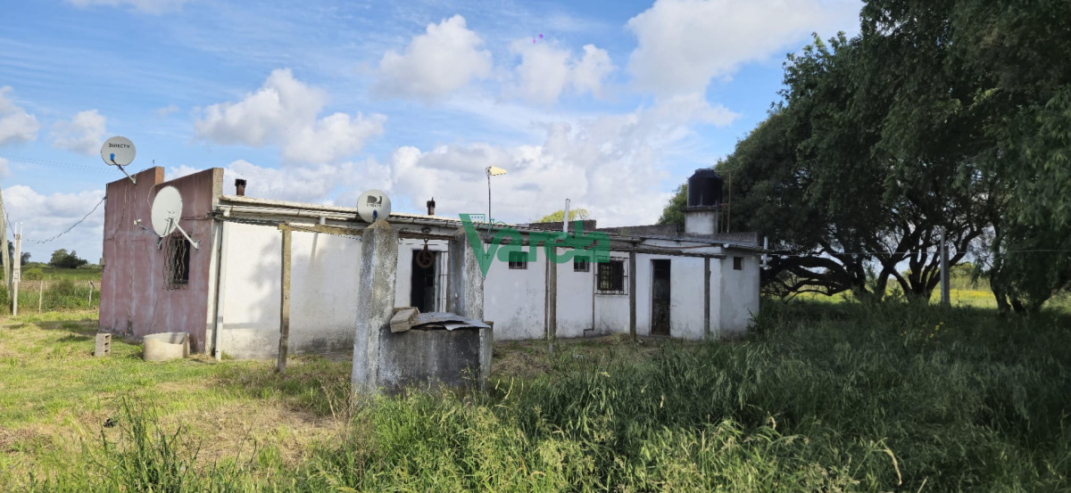 Chacra ID.23036 - Venta chacra 13 hectareas entre Estación Pedrera y Estación Tapia