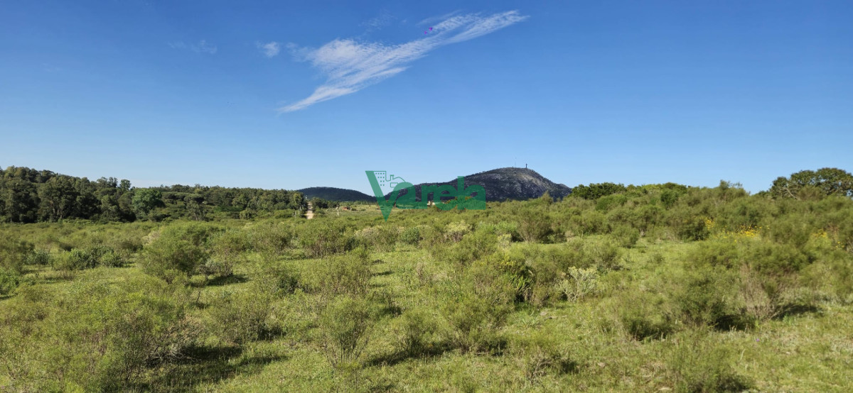 Chacra ID.22872 - Chacra Marítima de 5 has.en Playa Hermosa, a 9 cuadras de la playa