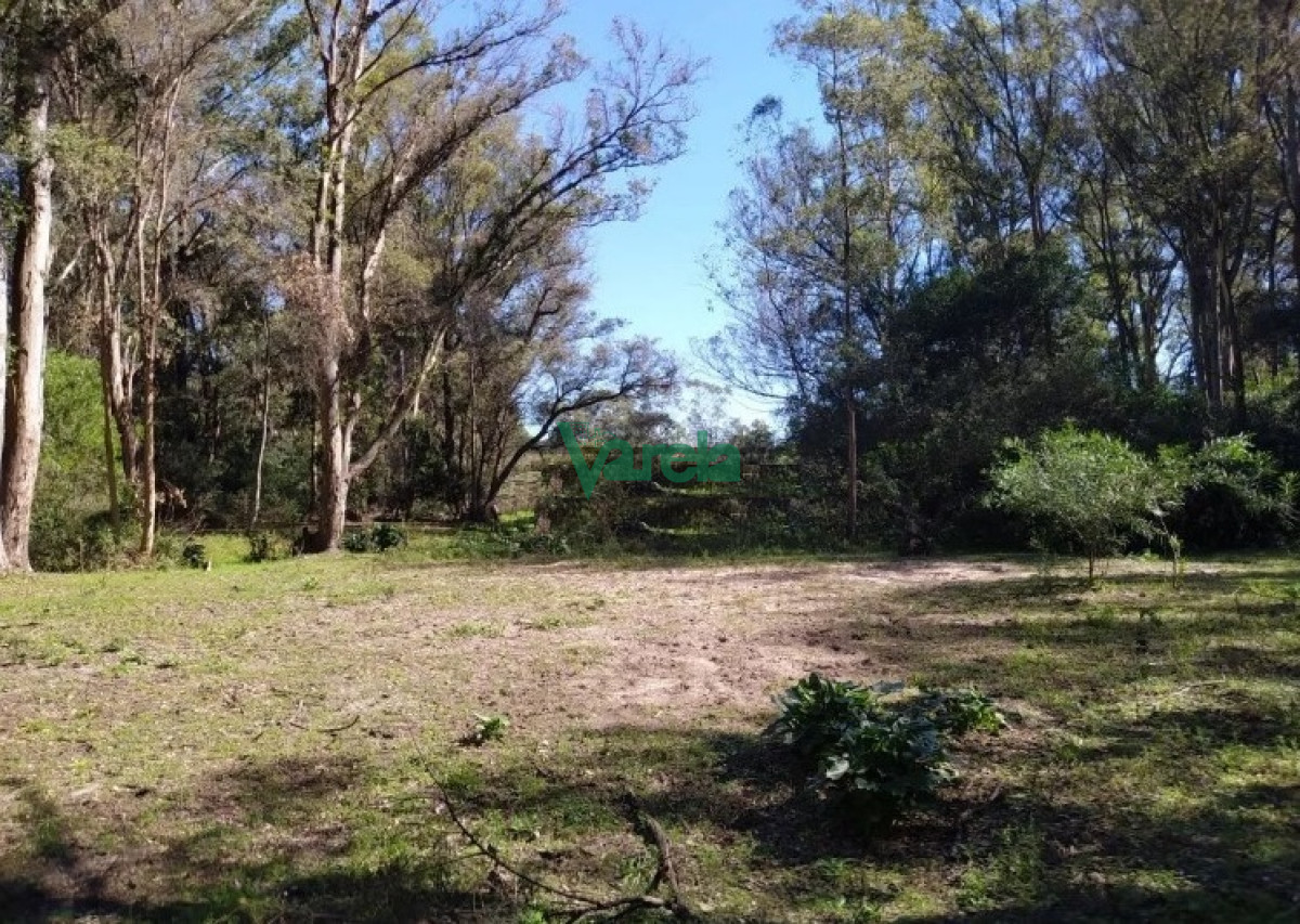 Chacra ID.21921 - Chacra en venta 11.6  has. con 348 metros con costa sobre Arroyo Solis, Jaureguiberry
