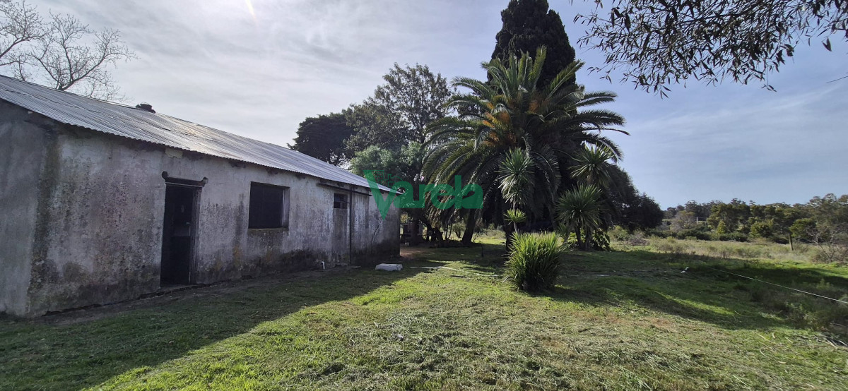 Chacra ID.22771 - Venta de Chacra de 6 hectareas en Santa Lucia del Este