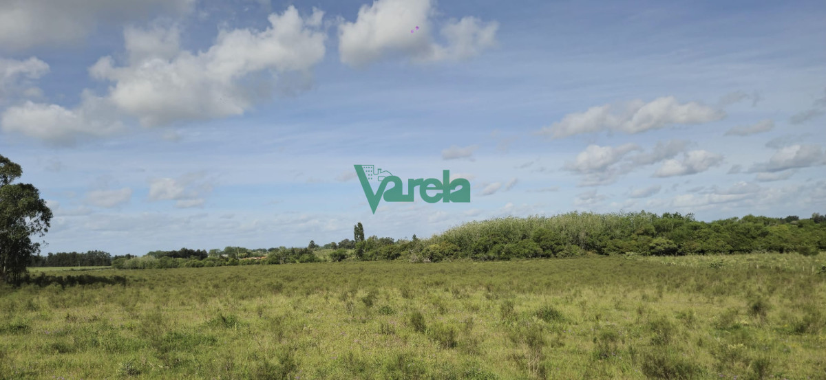 Chacra ID.23036 - Venta chacra 13 hectareas entre Estación Pedrera y Estación Tapia