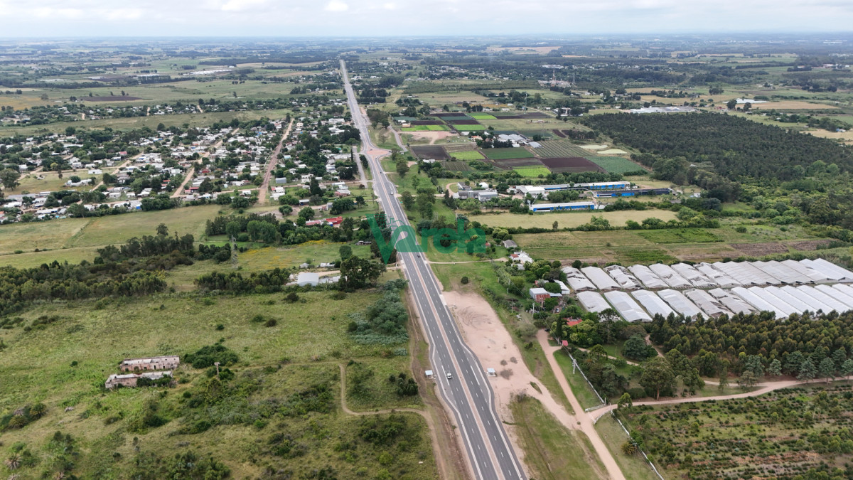 Chacra ID.22856 - Venta Chacra Toledo Sobre Ruta 6, 7 hectáreas