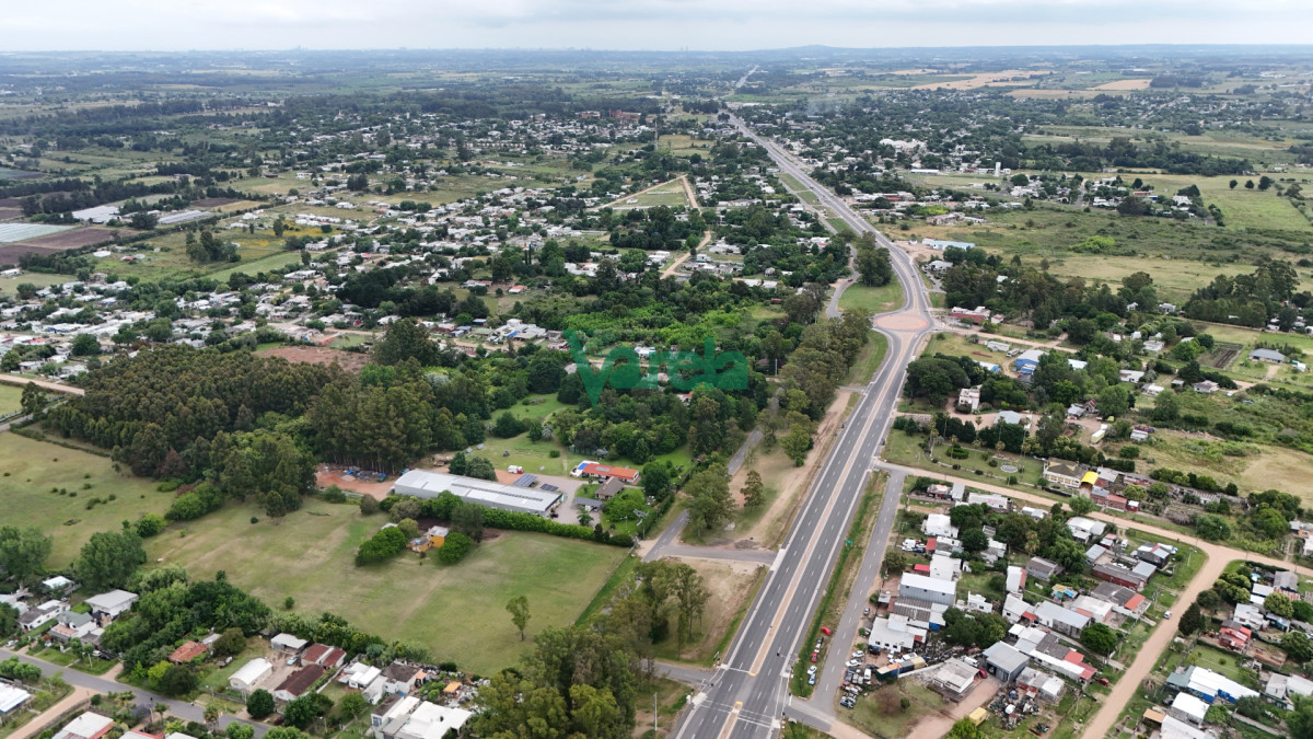 Chacra ID.22856 - Venta Chacra Toledo Sobre Ruta 6, 7 hectáreas