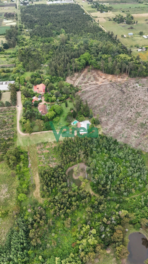 Chacra ID.22857 - Venta chacra baldia 3 hectares Ruta 6 Toledo 100% financiada