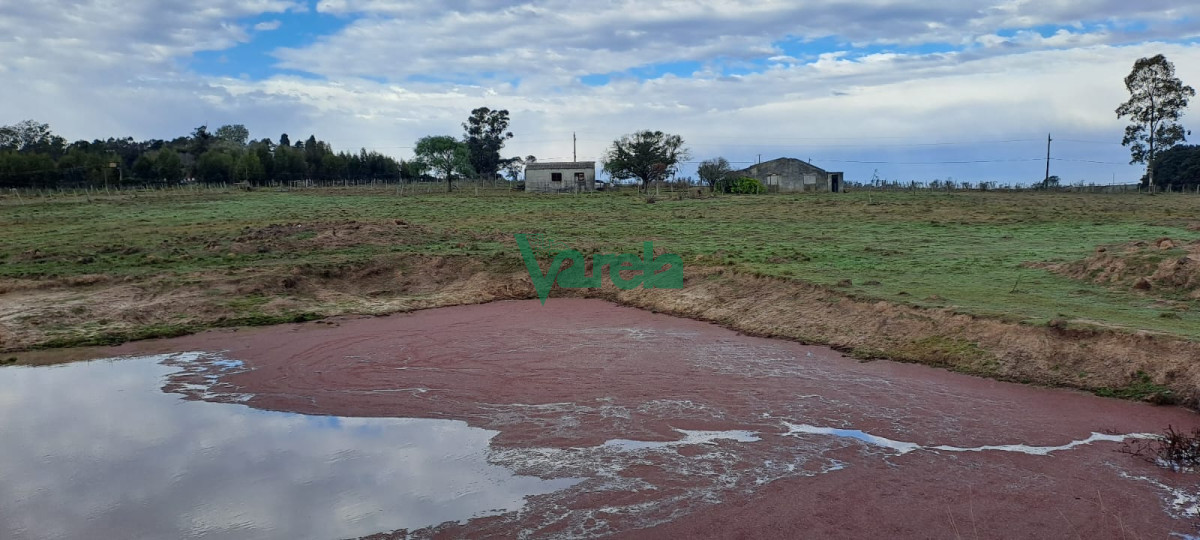 Chacra ID.21842 - Venta de Chacra, Ruta 11, km.152, de 3,5 has. a 200 metros de Ruta 