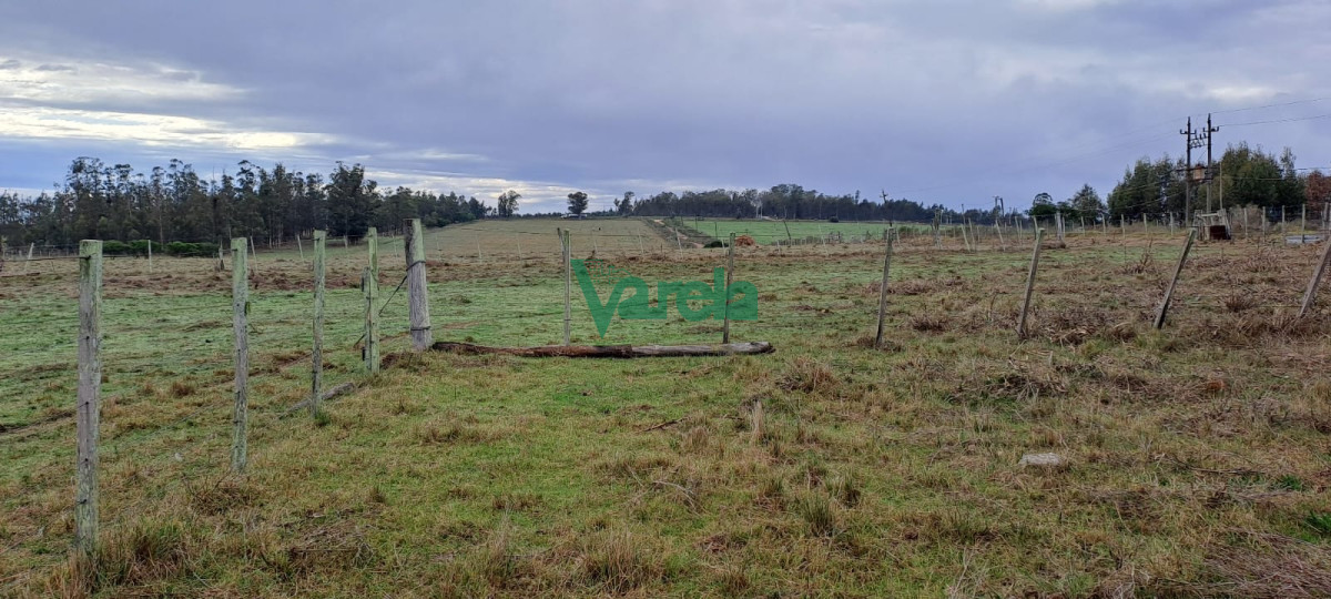 Chacra ID.21842 - Venta de Chacra, Ruta 11, km.152, de 3,5 has. a 200 metros de Ruta 