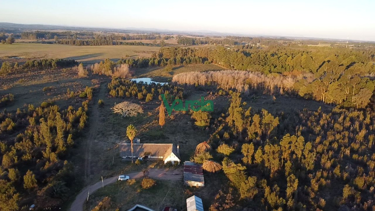 Chacra ID.22673 - Venta Chacra 10 has km 45 ruta 8 Empalme Olmos Canelones