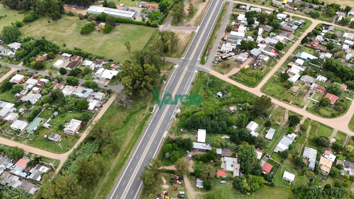 Chacra ID.22856 - Venta Chacra Toledo Sobre Ruta 6, 7 hectáreas