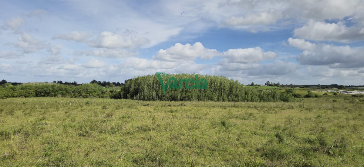 Chacra ID.23036 - Venta chacra 13 hectareas entre Estación Pedrera y Estación Tapia